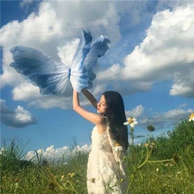 追踪章鱼保罗