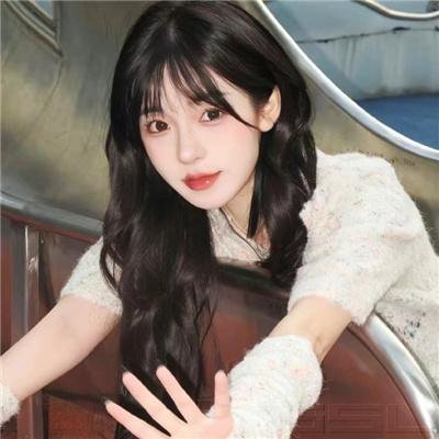 汪汪队立大功第九季