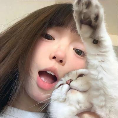 公仔炼金术